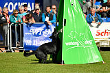 Finni vom Fuchsstein