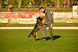 Giddo vom Federsee