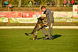 Giddo vom Federsee