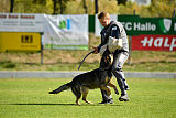 Peppino vom Heidhof