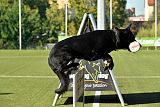 Champion von Neo Karthago