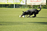 Champion von Neo Karthago