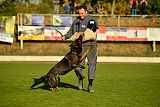 Kliff von der Friesenklippe
