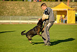 Kliff von der Friesenklippe