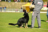 Max vom Waldhäuser Schloß
