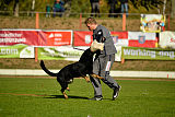 Max vom Waldhäuser Schloß