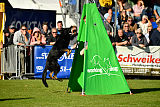 Max vom Waldhäuser Schloß