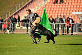 Rambo vom Weissbach