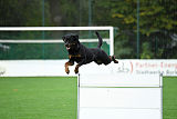 Dux vom Luisenhof