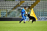 Lynxfelsen Ayhan