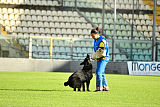 Apollo vom Schloß Solitude