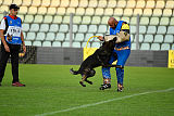 King of Asso