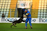 King of Asso