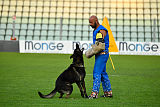 King of Asso