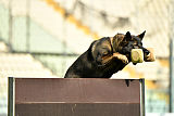 Poseidon z Jir-Moch