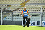Duke (Kuipers)