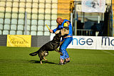 Gero z Berounske Basty