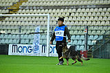Wiggo of Sports dog