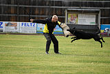 Abby vom Schattenbachtal
