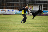 Abby vom Schattenbachtal