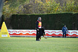 Condor Vikar