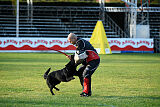 T-Lothar vom Hause Meraner