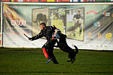 T-Lothar vom Hause Meraner