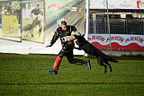 T-Lothar vom Hause Meraner