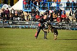 Eddy vom Isarland