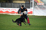 Adele Canis Invictus