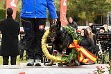 Siegerehrung, Victory Ceremony