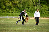 Activ Jerte Maicono livre