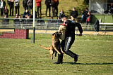 High Drives Harko