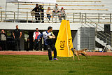 Bomra vom Giannioti Sports Dog