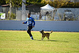 Bomra vom Giannioti Sports Dog