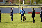 Bomra vom Giannioti Sports Dog
