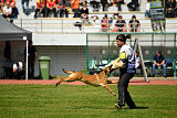 Kirky Veranis K-9 Dog Center