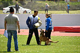 Iris Veranis K-9 Dog Center