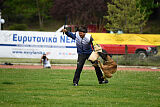 G'Dracarys Force Canina