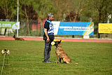 G'Dracarys Force Canina