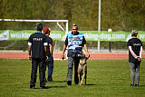 G'Dracarys Force Canina