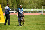 G'Dracarys Force Canina