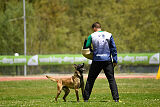 G'Dracarys Force Canina