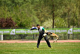 G'Dracarys Force Canina
