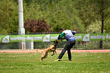 G'Dracarys Force Canina