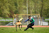 G'Dracarys Force Canina