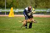 G'Dracarys Force Canina
