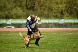 G'Dracarys Force Canina