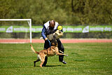 G'Dracarys Force Canina