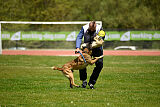 G'Dracarys Force Canina